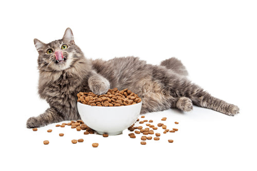 Cat Food