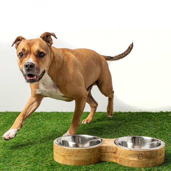 Dog Bowls &amp; Feeders