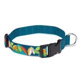 Multicolor Leaf Pattern Dog Collar