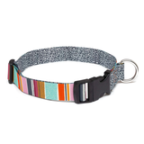 Eco Recycled Plastic Dog Collar Leash Multicolor Stripes