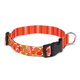 Eco-Artisan Recycled Plastic Dog Collar and Leash Pink Paints Pattern