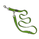 Infinity Collection Adjustable Leash Green/Black