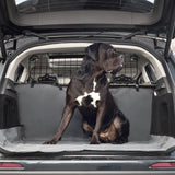 Large breed dog sitting on a seat cover in back of an SUV with trunk open, Carriers &  Travel - Green Paw Shop